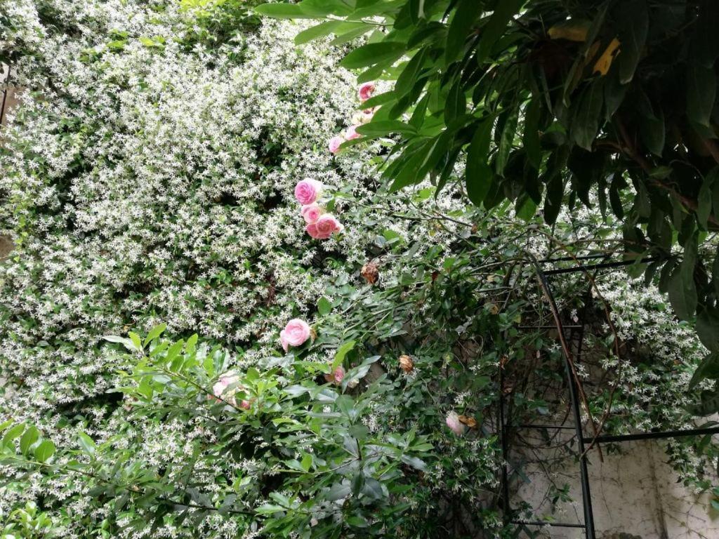 Relax Santa Chiara Apartment Bra Ngoại thất bức ảnh